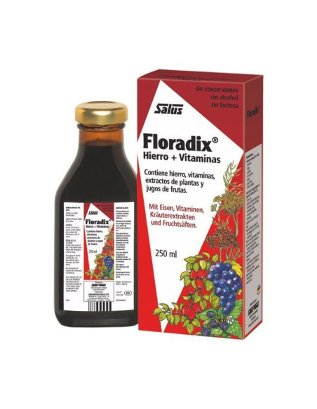 Floradix 250ml