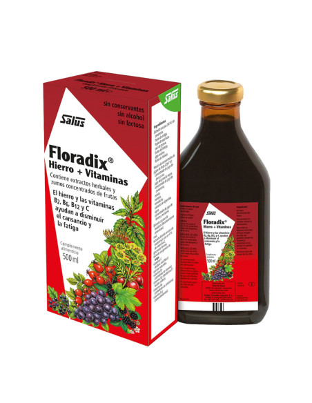 Floradix 500ml