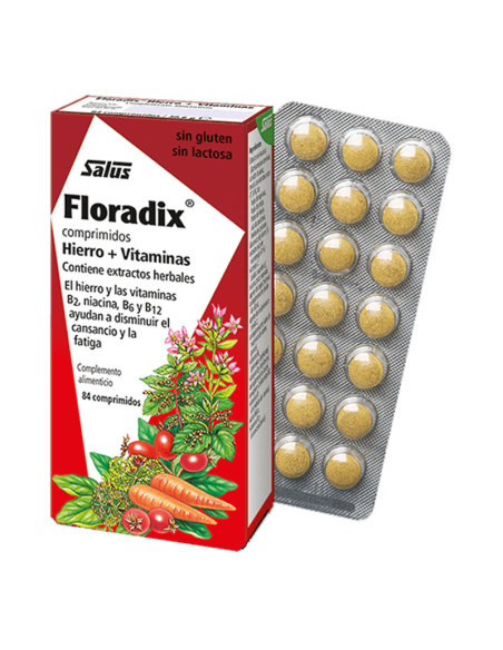 Floradix 84 Comprimidos