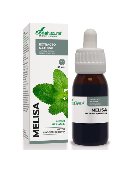 Extracto SXXI Melisa Soria Natural