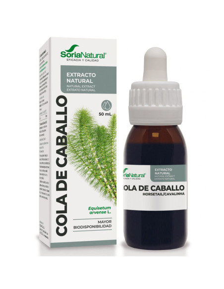 Extracto SXXI Cola Caballo Soria Natural
