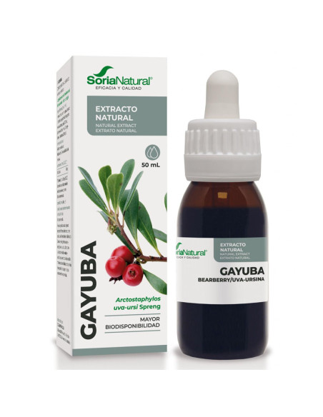 Extracto SXXI Gayuba 50ml Soria Natural