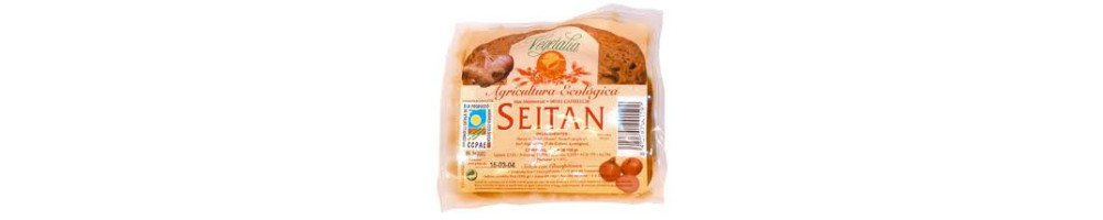 Gourmet Vegetariano