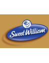 SWEET WILLIAM