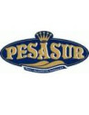 PESASUR