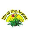 LILY OF THE DESERT