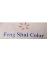 FENG SHUI COLOR