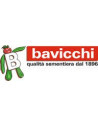 BAVICCHI