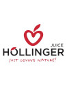 HOLLINGER