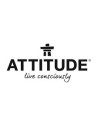 ATTITUDE